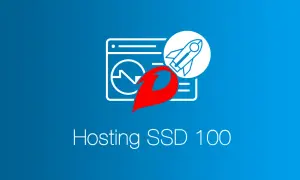 Grafica con razzo e grafico, simbolo di velocità per il tuo hosting SSD 100.