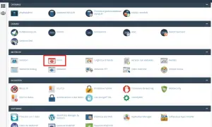 Dashboard cPanel con sezione "Metriche" evidenziata, dove un'icona di avviso indica la presenza di "Errori", un importante codice di stato da controllare.