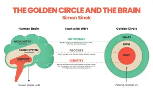 Il Golden Circle di Simon Sinek illustra il cervello umano e come iniziare con il "Perché" (WHY) per guidare azioni e risultati.