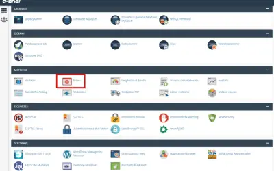 Dashboard cPanel con sezione "Metriche" evidenziata, dove un'icona di avviso indica la presenza di "Errori", un importante codice di stato da controllare.