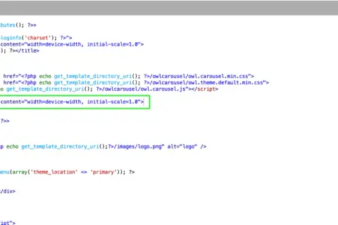 Codice PHP per un template HTML responsive, con meta tag viewport e inclusione di script per Owl Carousel.