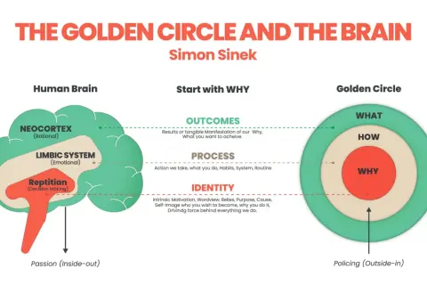 Il Golden Circle di Simon Sinek illustra il cervello umano e come iniziare con il "Perché" (WHY) per guidare azioni e risultati.
