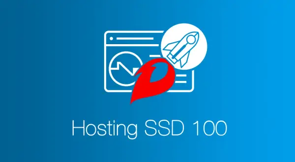 Grafica con razzo e grafico, simbolo di velocità per il tuo hosting SSD 100.