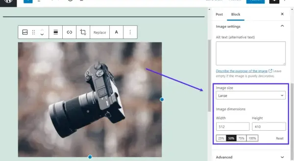 Impostazione delle dimensioni immagini WordPress per una fotocamera.