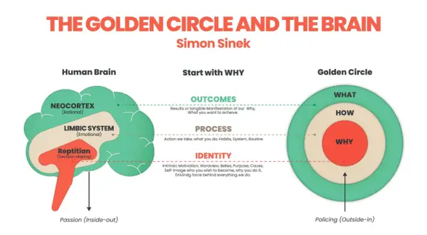 Il Golden Circle di Simon Sinek illustra il cervello umano e come iniziare con il "Perché" (WHY) per guidare azioni e risultati.