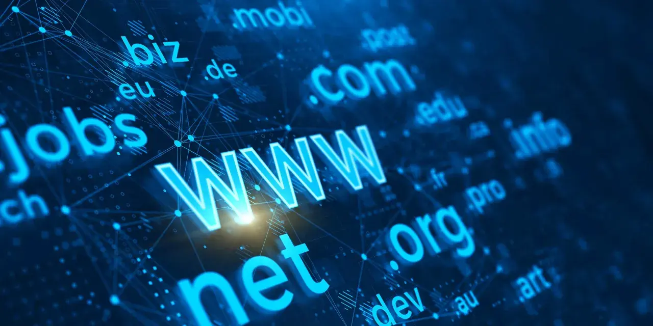 Il dominio .net è al centro di un network globale di estensioni web come .com, .org, .biz, .info, .jobs, .eu, .edu, .mobi, .de, .fr, .pro, .dev, .au, .art.