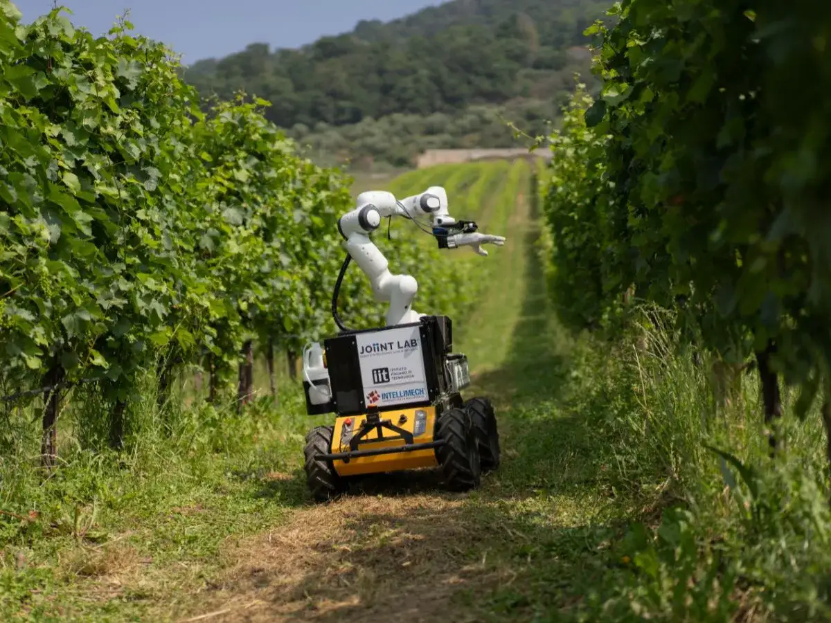 Robot agricolo autonomo tra i filari di vigneti, esempio di deep tech per l'agricoltura di precisione.