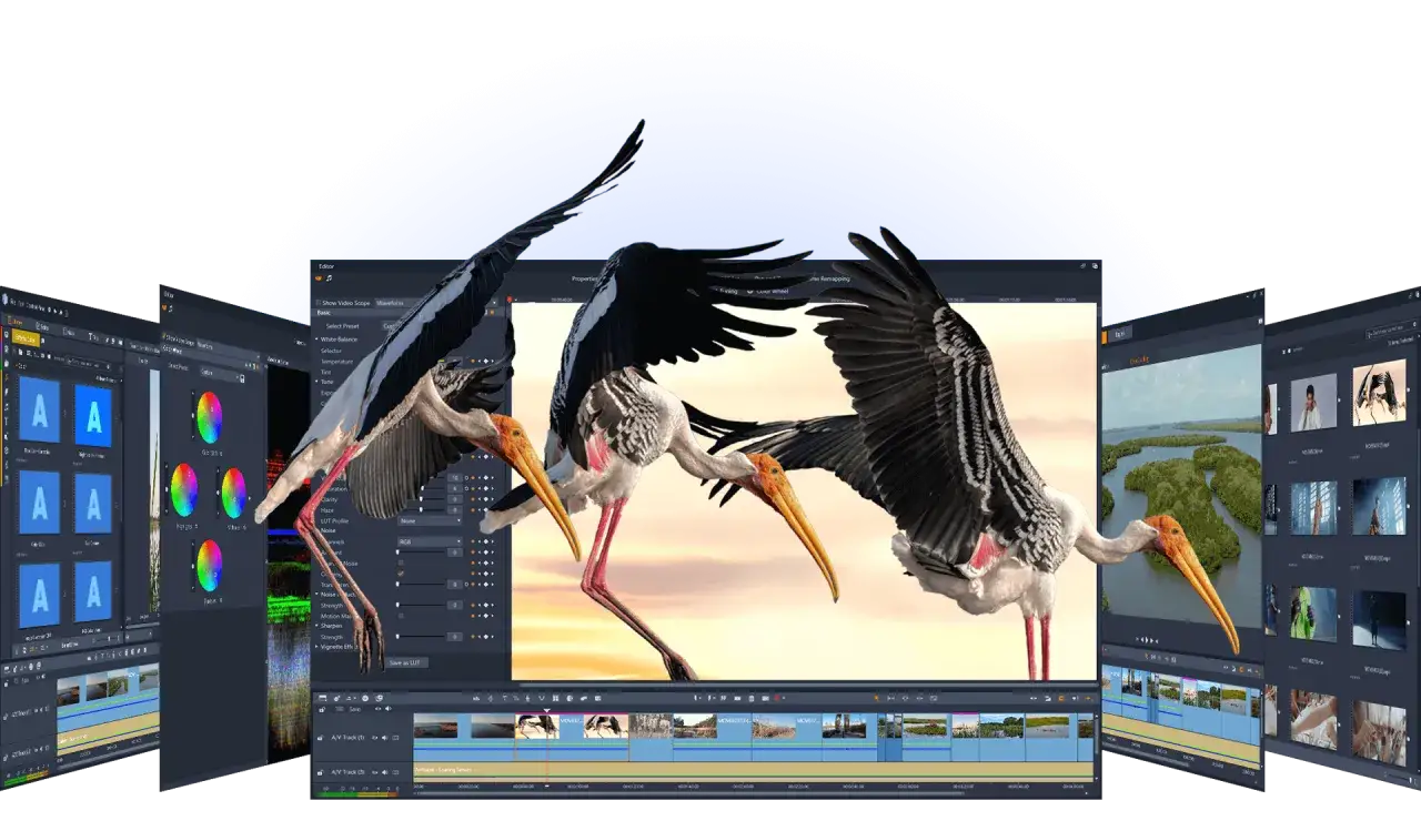 Schermate di un software di corso editing video con immagini di aironi e paesaggi.