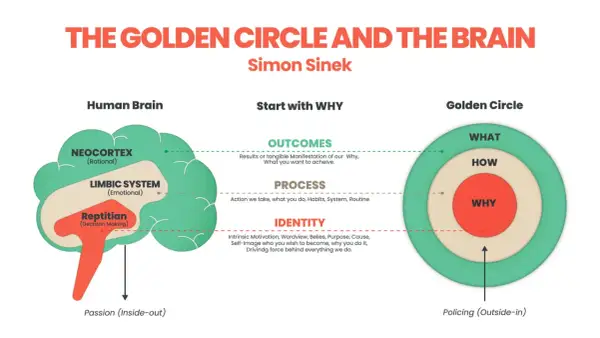 Il Golden Circle di Simon Sinek illustra il cervello umano e come iniziare con il "Perché" (WHY) per guidare azioni e risultati.